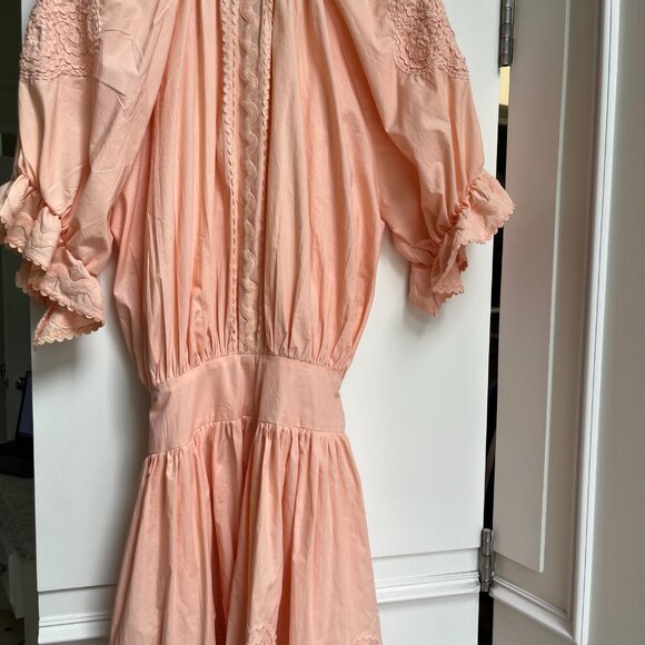 Juliet Dunn A-Line Dress Peach - Picture 5 of 6